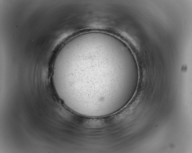 X0000102521307200808221832