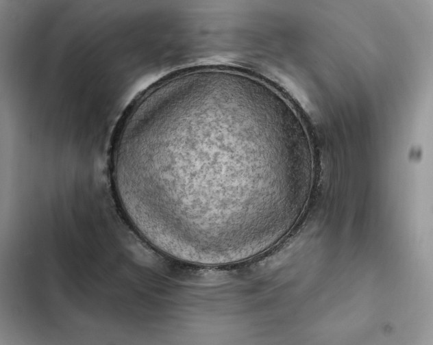 X0000102521308200808221832