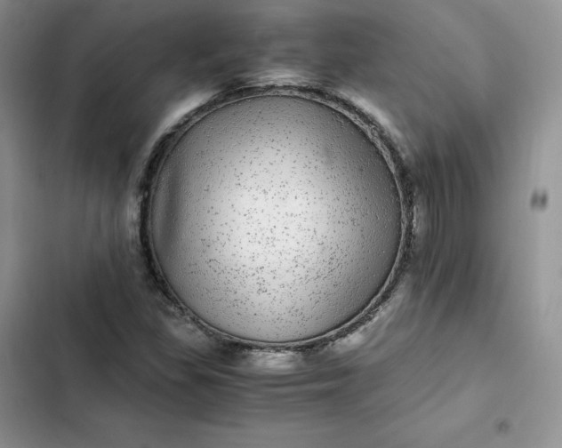 X0000102521309200808221832