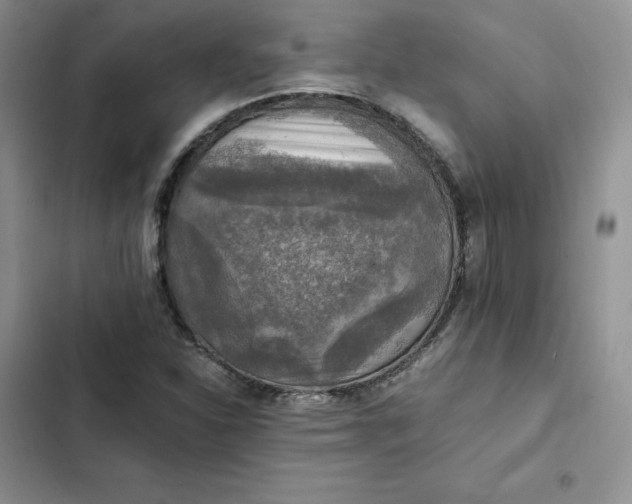 X0000102521310200808221832