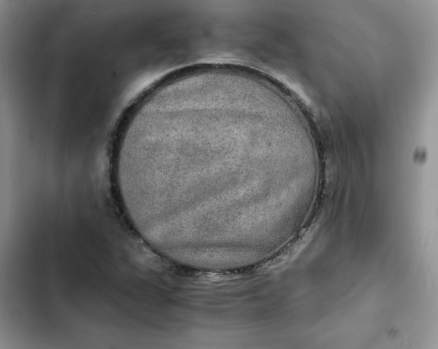 X0000102521311200808221832