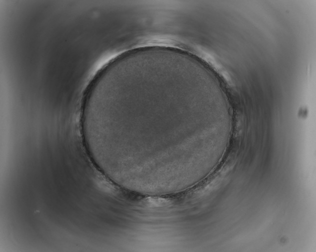 X0000102521312200808221832