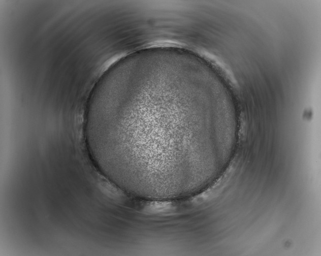 X0000102521313200808221832