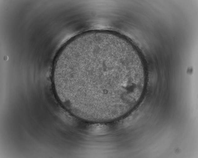 X0000102521314200808221832