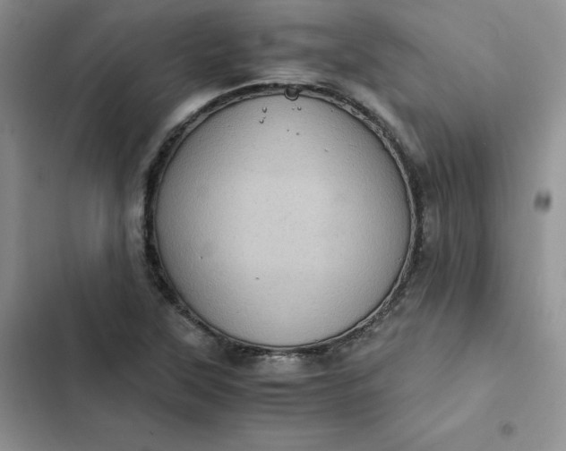 X0000102521315200808221832