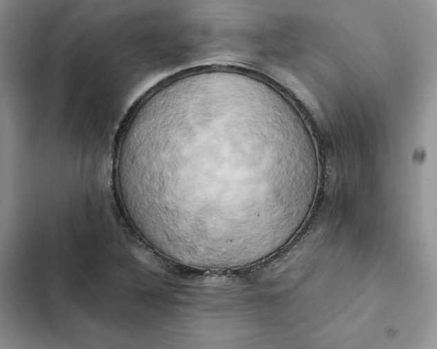 X0000102521316200808221832