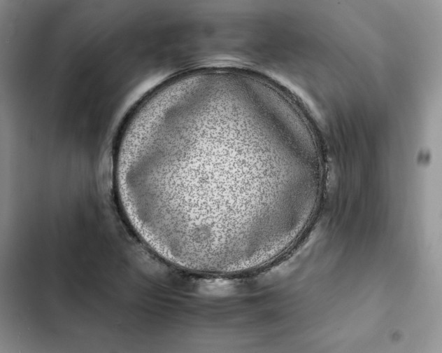 X0000102521317200808221832