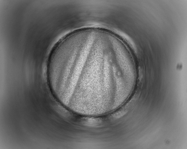 X0000102521318200808221832