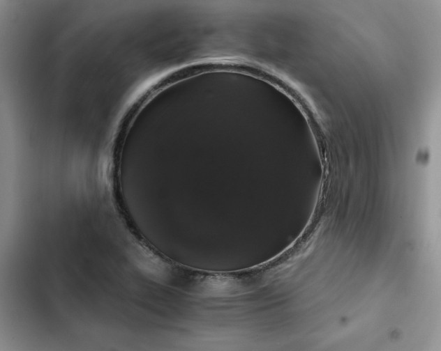 X0000102521319200808221832