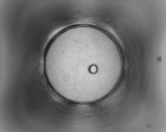 X0000102521320200808221832