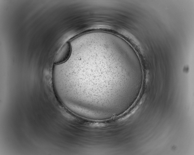 X0000102521321200808221832