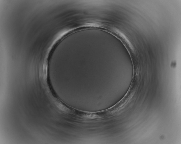 X0000102521323200808221832