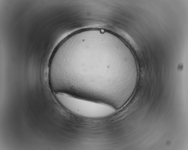 X0000102521324200808221832