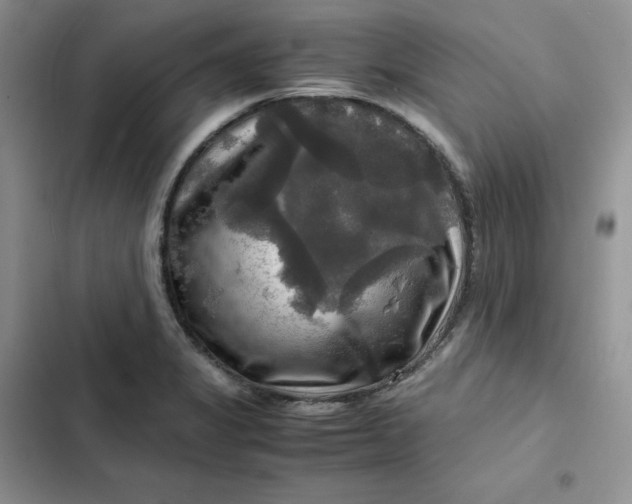 X0000102521325200808221832