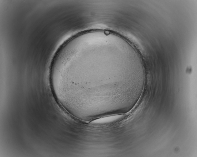 X0000102521326200808221832