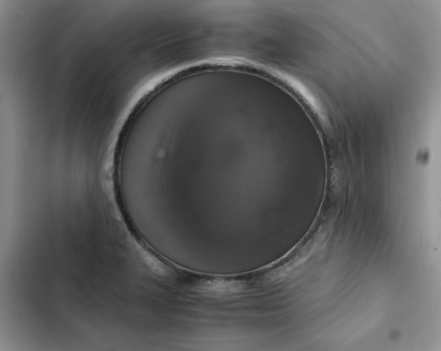 X0000102521327200808221832