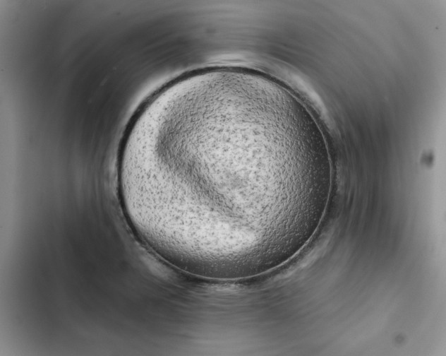 X0000102521328200808221832