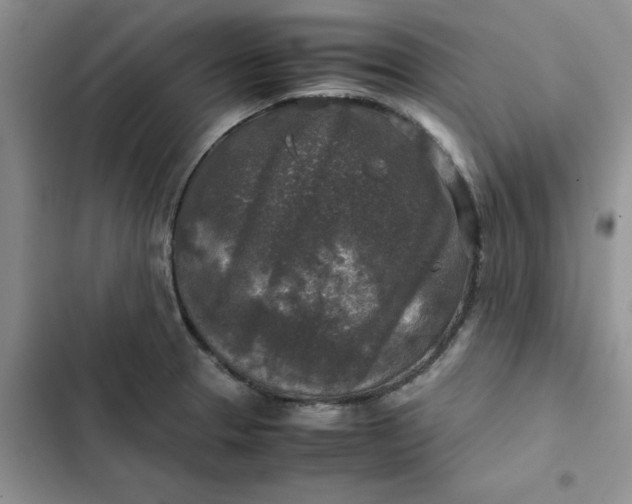 X0000102521329200808221832