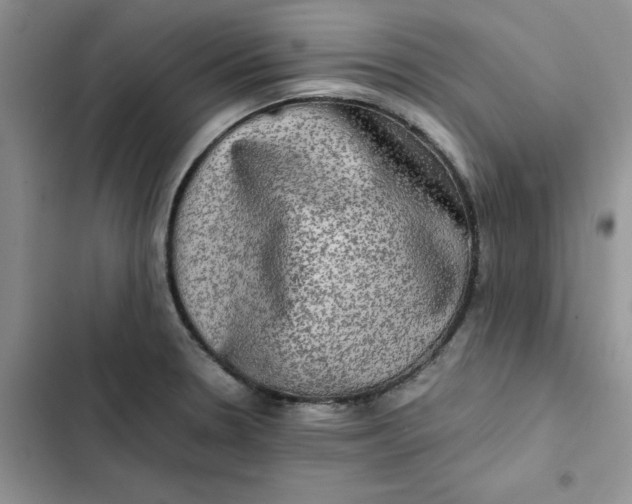 X0000102521330200808221832