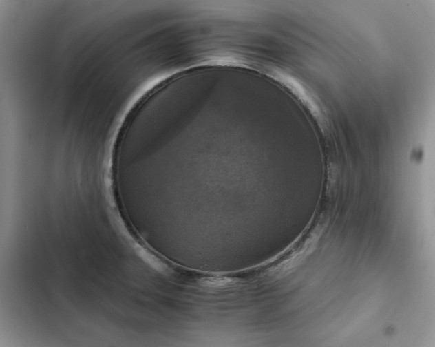 X0000102521331200808221832