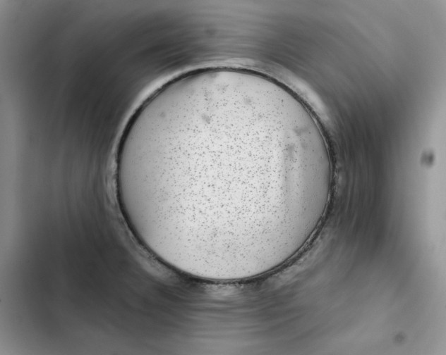 X0000102521332200808221832