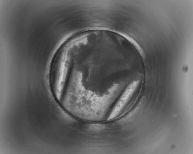 X0000102521333200808221832