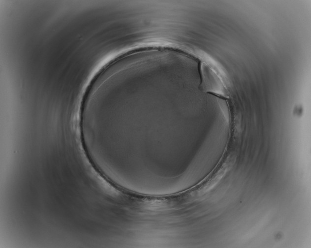 X0000102521334200808221832