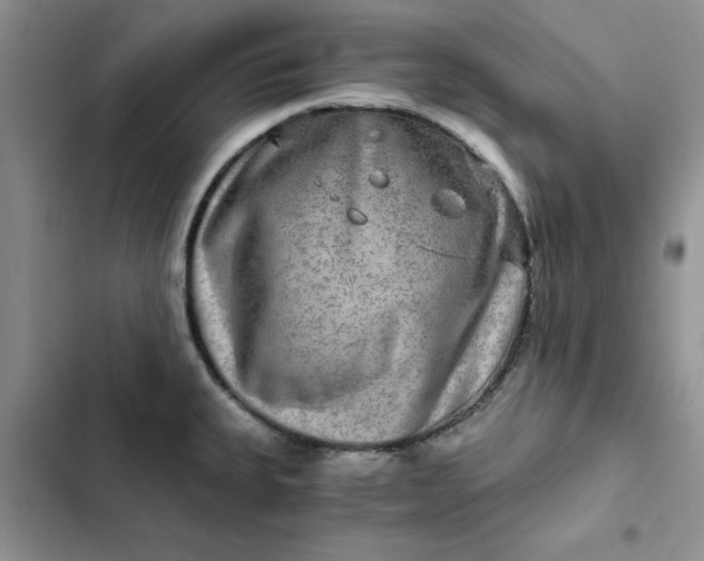 X0000102521335200808221832