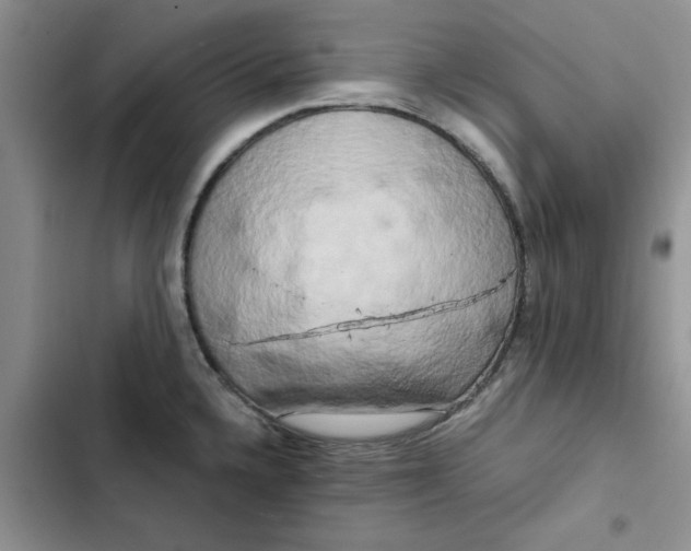 X0000102521336200808221832