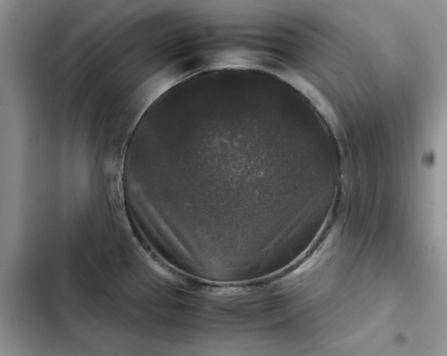 X0000102521337200808221832