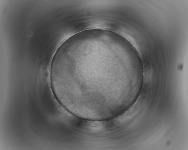 X0000102521338200808221832