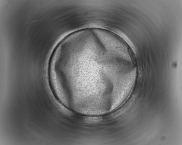 X0000102521339200808221832