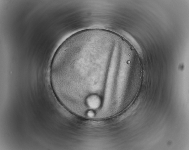 X0000102521340200808221832