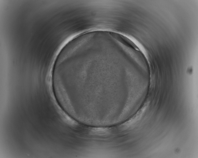 X0000102521341200808221832