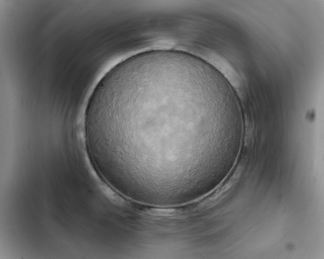 X0000102521342200808221832