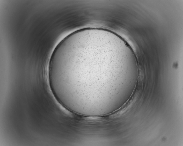 X0000102521343200808221832