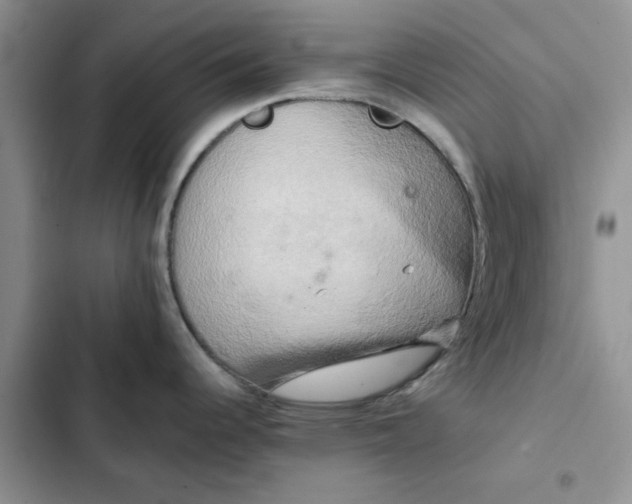 X0000102521344200808221832