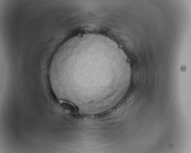 X0000102521345200808221831