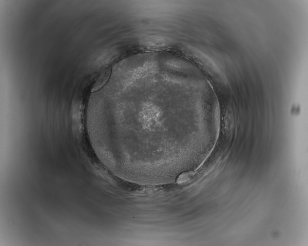 X0000102521346200808221831