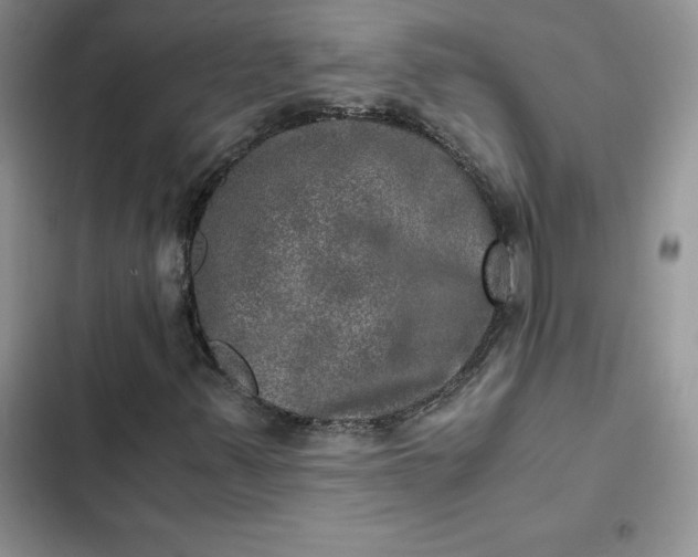 X0000102521347200808221831