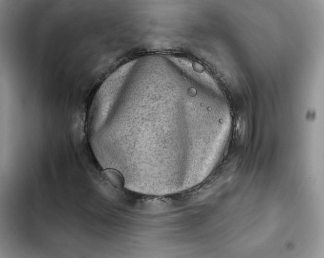 X0000102521348200808221831