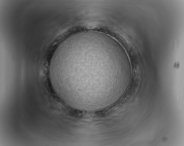 X0000102521349200808221831