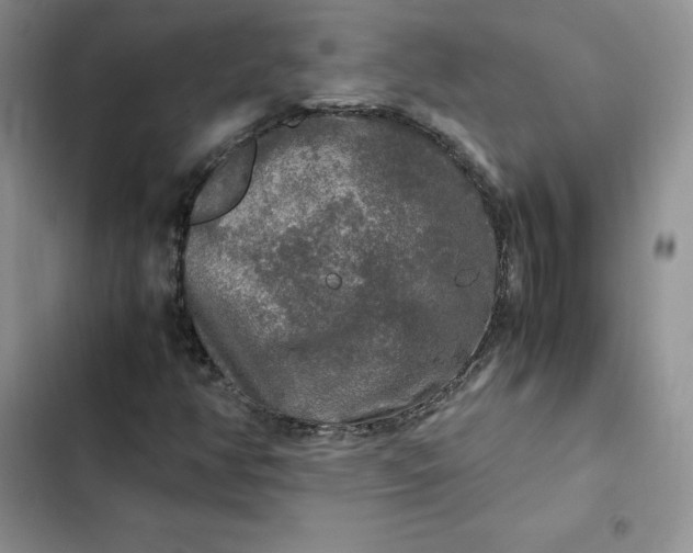 X0000102521350200808221831