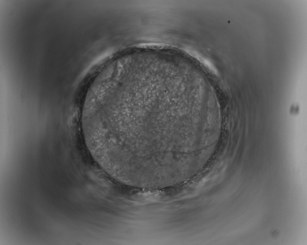 X0000102521351200808221831