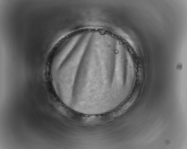 X0000102521352200808221831