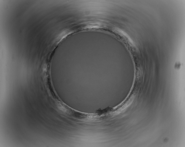 X0000102521353200808221831