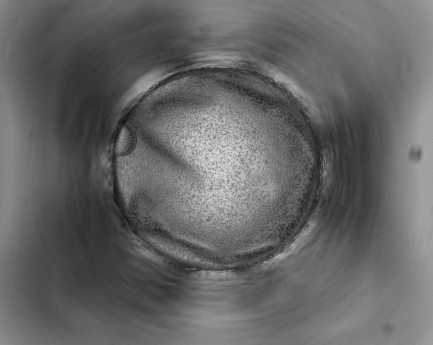 X0000102521354200808221831