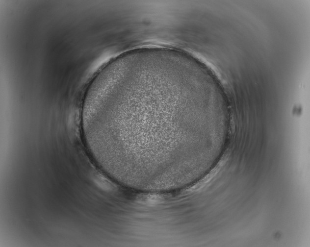 X0000102521355200808221831