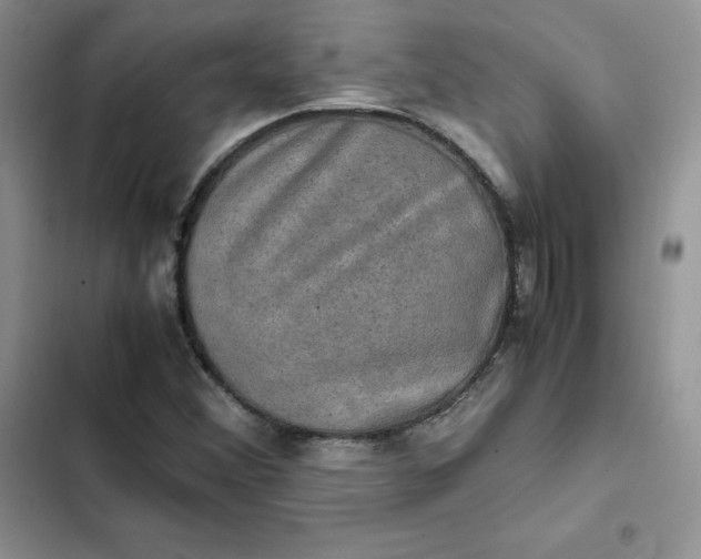 X0000102521356200808221831