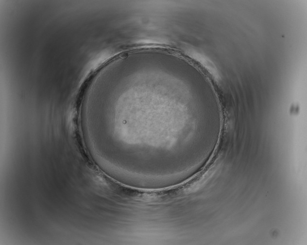 X0000102521357200808221831